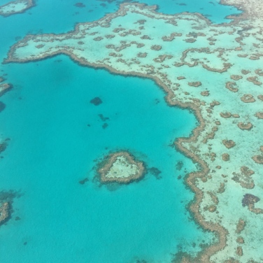 Heart Reef, Great Barrier Reef